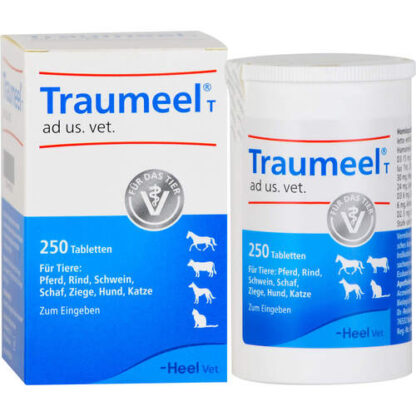 TRAUMEEL T ad us.vet.Tabletten,Es kann zu einer Erstverschlimmerung kommen, die im Rahmen homöopathischer Anwendungen als Zeichen einer beginnenden Heilung interpretiert wird und meist vorübergehend ist. ТРАУМЕЛЬ Т ad us.vet.таблетки,Может произойти начальное ухудшение, которое в контексте гомеопатического применения интерпретируется как признак начала выздоровления и обычно носит временный характер.